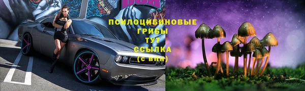 прущие крисы Вяземский