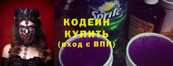 прущие крисы Вяземский
