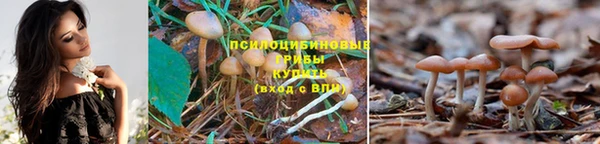 2c-b Вязьма