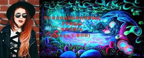 прущие крисы Вяземский