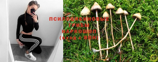 прущие крисы Вяземский