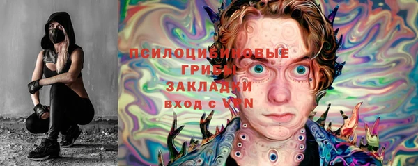 прущие крисы Вяземский