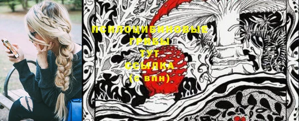 прущие крисы Вяземский