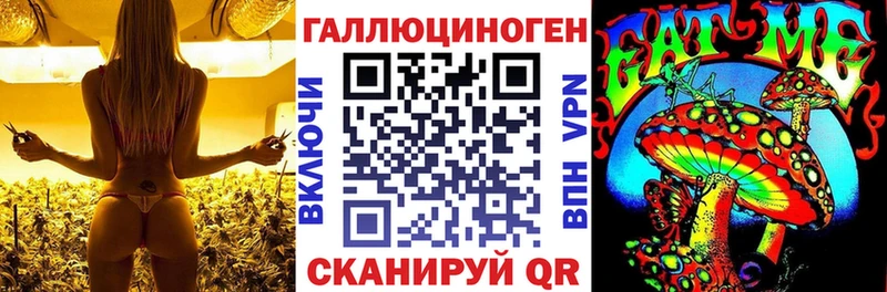 Купить  Теберда  Псилоцибиновые грибы Psilocybe 